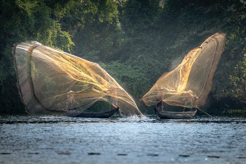 有关冷靜, 匿名, 夏天的免费素材图片