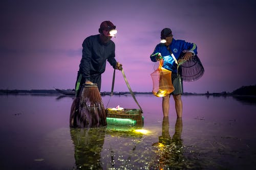 有关一起, 不露面, 光的免费素材图片