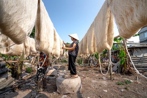 有关不露面, 乾的, 側面圖的免费素材图片