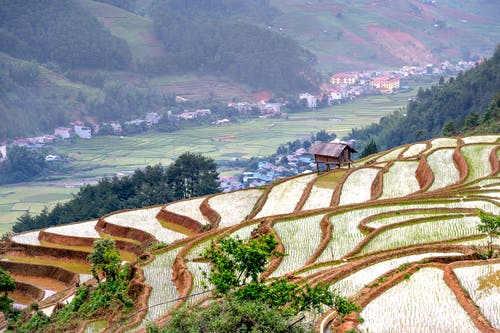 有关mu cang chai, 住, 住宅的免费素材图片