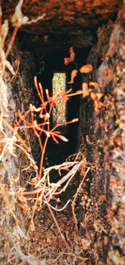 有关小徑, 秋天的免费素材图片
