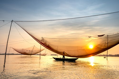 有关不露面, 人, 匿名的免费素材图片