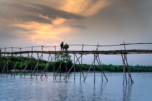 有关人, 人行天橋, 修剪花草的免费素材图片