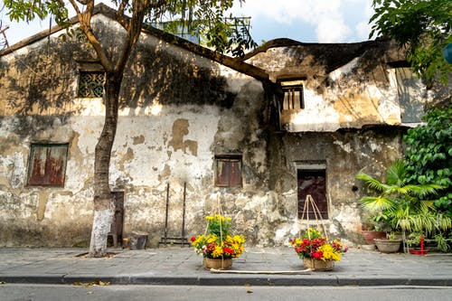 有关人行道, 住, 住宅的免费素材图片