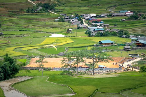 有关住宅, 农艺学, 和平的的免费素材图片