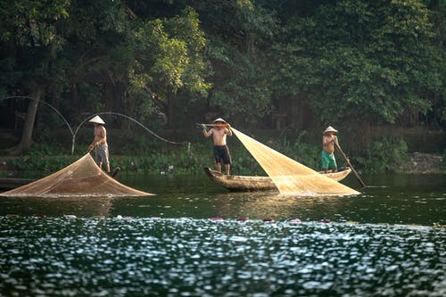有关一起, 傳統, 匿名的免费素材图片