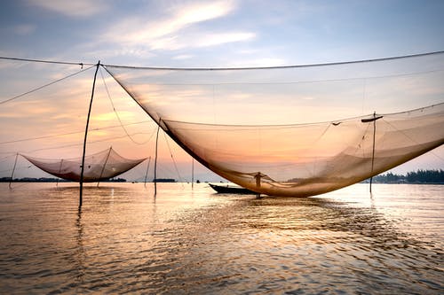 有关不露面, 人, 光的免费素材图片