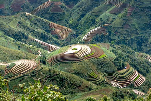 有关mu cang chai, 和諧, 地平線的免费素材图片