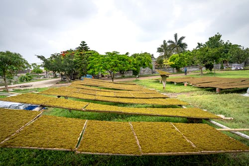 有关冷靜, 和平的, 和諧的免费素材图片