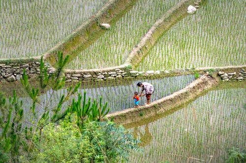 有关一起, 不露面, 人的免费素材图片
