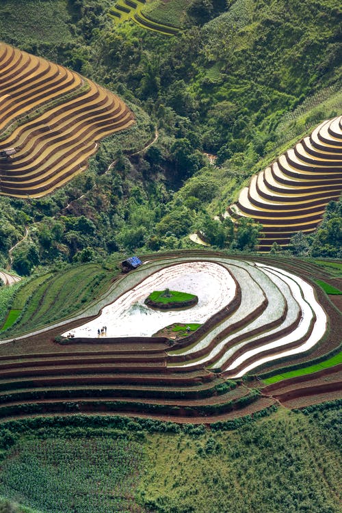 有关农业用地, 山腰, 山谷的免费素材图片