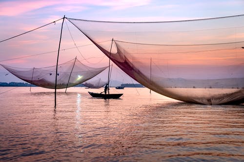 有关不露面, 人, 冷靜的免费素材图片