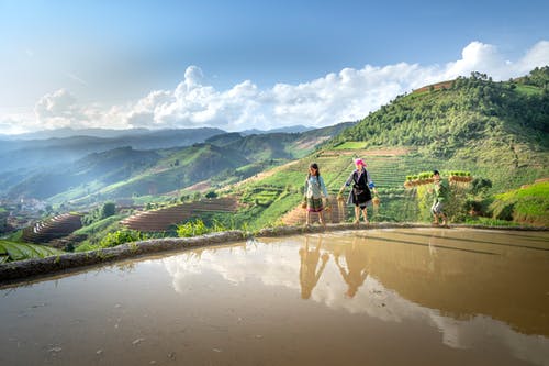 有关人, 天性, 戶外的免费素材图片
