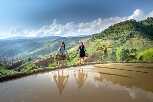 有关天性, 戶外, 攜帶的免费素材图片