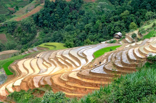 有关mu cang chai, 亞洲, 人的免费素材图片