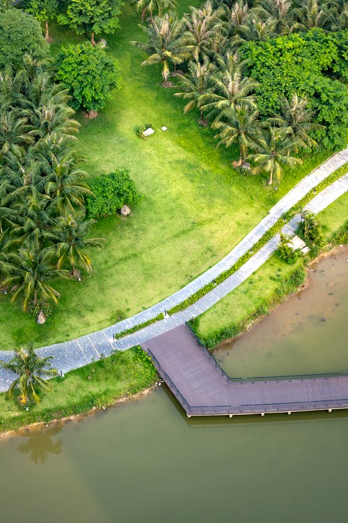 有关叢林, 增長, 天性的免费素材图片