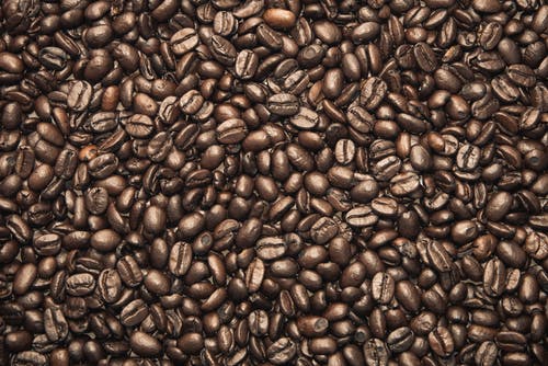 有关咖啡, 罗布斯塔, 芳香的免费素材图片