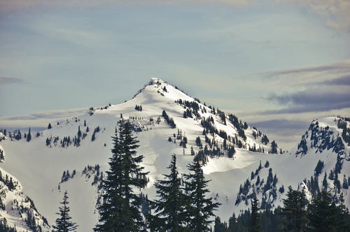 有关冬季, 大雪覆盖, 天性的免费素材图片