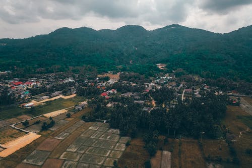 有关住宅, 和平的, 壮观的免费素材图片