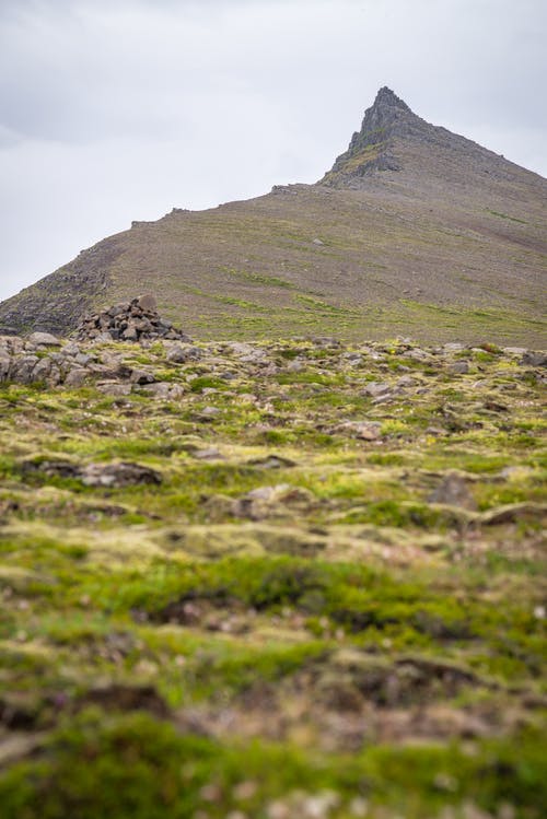 有关地面射击, 垂直拍摄, 天性的免费素材图片