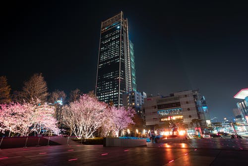 有关中央, 光, 发光的的免费素材图片