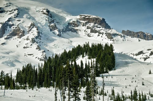 有关冬季, 大雪覆盖, 天性的免费素材图片