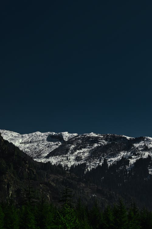 有关垂直拍摄, 大雪覆盖, 天性的免费素材图片