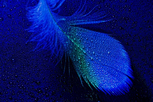 有关一般開銷, 佈局, 作文的免费素材图片