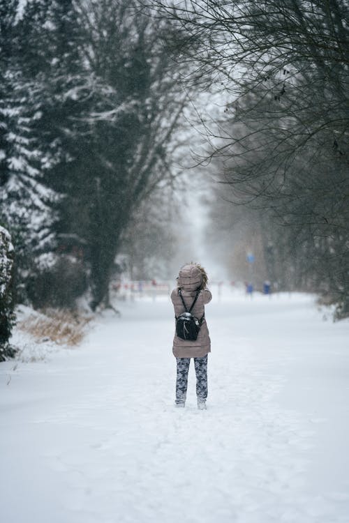 有关下雪的, 不露面, 全身的免费素材图片