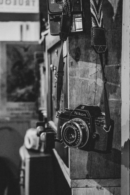 有关單色, 垂直拍摄, 尼康的免费素材图片