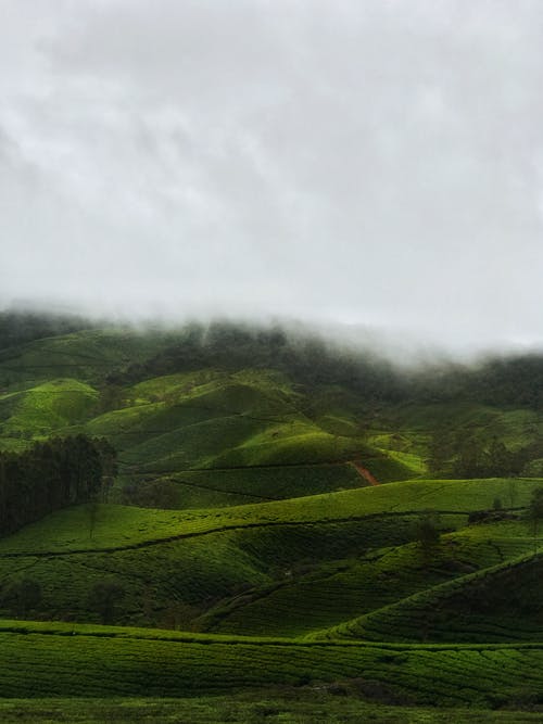 有关Copyspace, 健行, 冷靜的免费素材图片