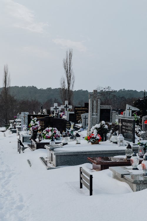 有关冬季, 冷, 垂直拍摄的免费素材图片