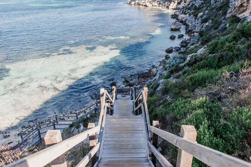 有关假期, 夏天, 天性的免费素材图片