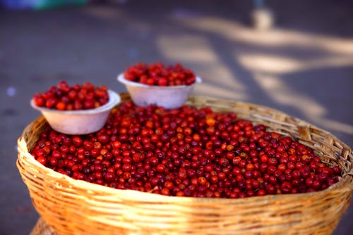 有关乾的, 健康, 原本的免费素材图片