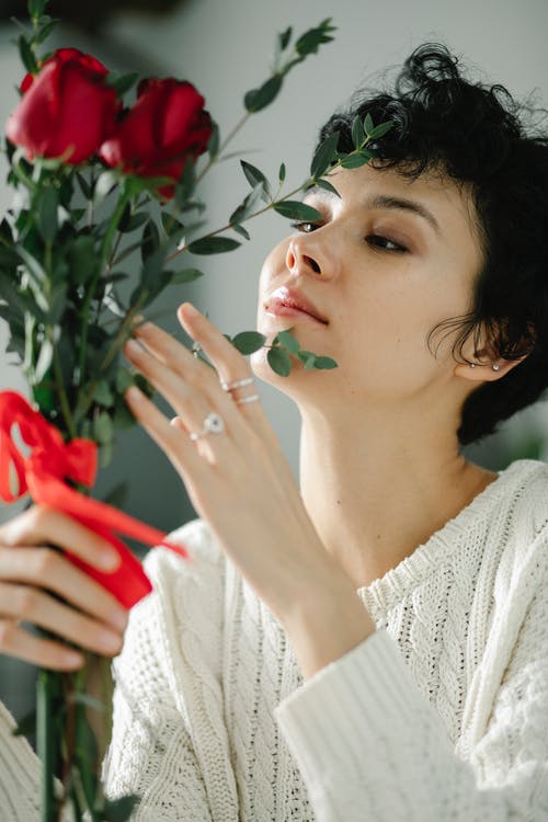 有关事件, 享受, 假日的免费素材图片