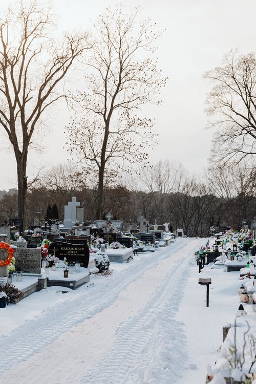 有关墓園, 墓碑, 死树的免费素材图片