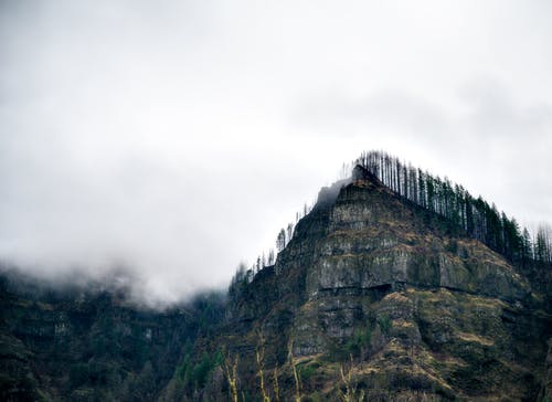 有关場景, 增長, 壞心情的免费素材图片