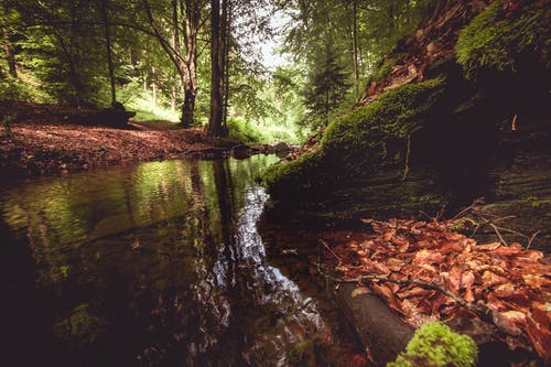 有关不变, 公園, 冷靜的免费素材图片
