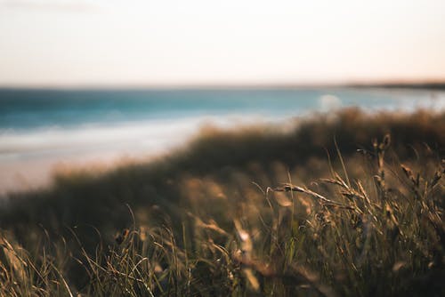 有关Copyspace, 不变, 乾的的免费素材图片