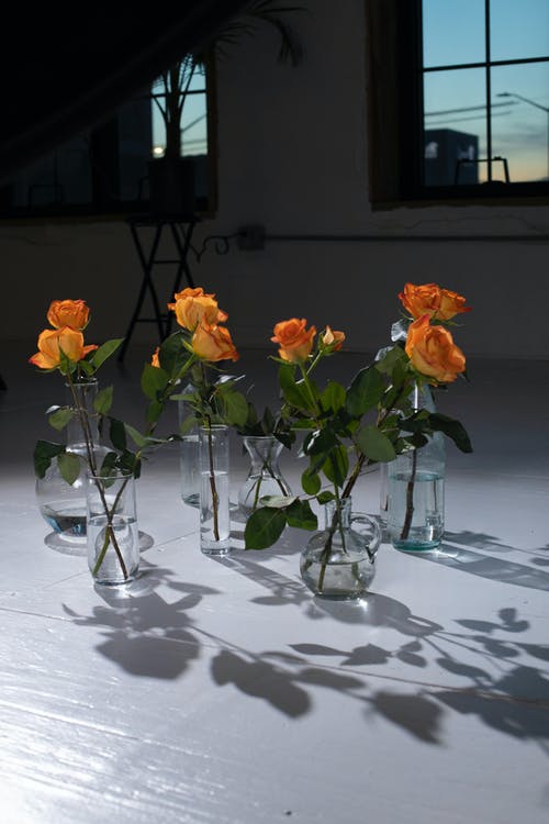 有关充滿活力, 光滑, 內部的免费素材图片