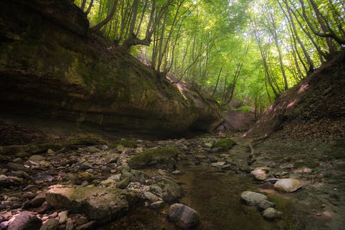 有关不变, 和平的, 和諧的免费素材图片