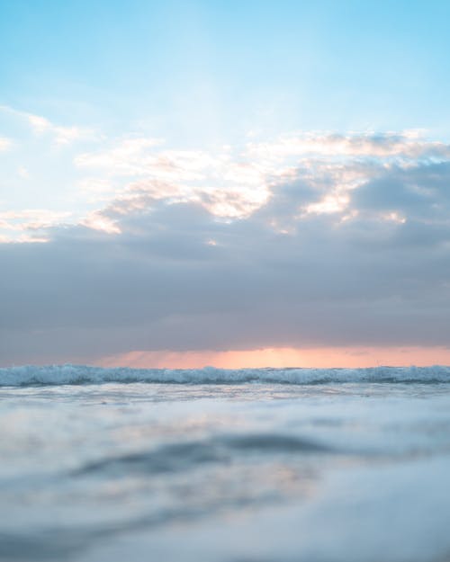 有关光, 半透明, 华丽的的免费素材图片