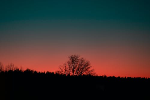 有关冷靜, 华丽的, 和平的的免费素材图片