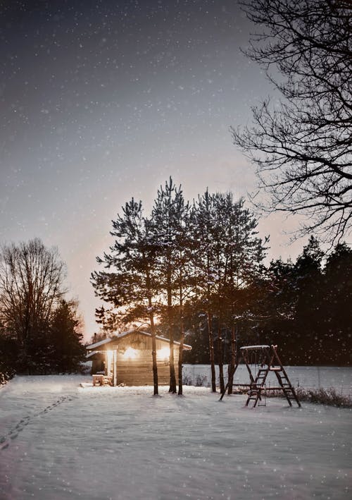 有关冬季, 冷, 凍結的的免费素材图片