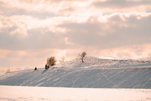 有关不露面, 享受, 人的免费素材图片