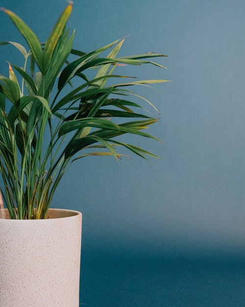 有关光, 和平的, 和諧的免费素材图片