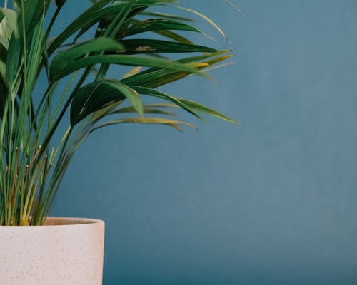 有关元素, 光, 創作的的免费素材图片