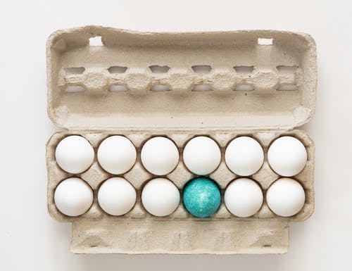 有关上漆的, 头顶射击, 染色的免费素材图片