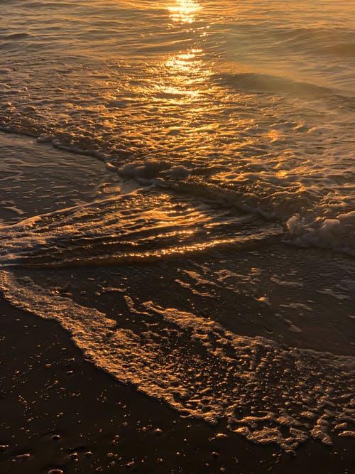 有关垂直拍摄, 天性, 岸边的免费素材图片