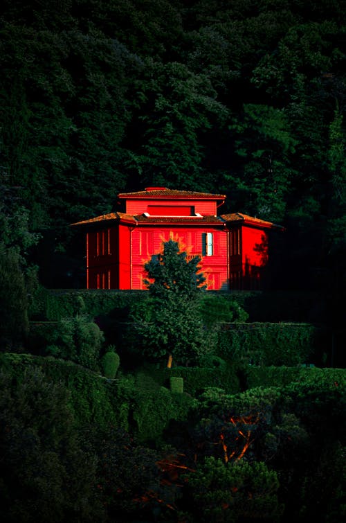 有关垂直拍摄, 增長, 夏天的免费素材图片